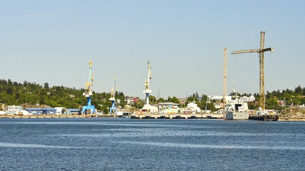 Améliorez votre aisance avec une formation parler en public